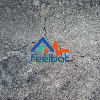 Application Feelbat pour le suivi de capteurs