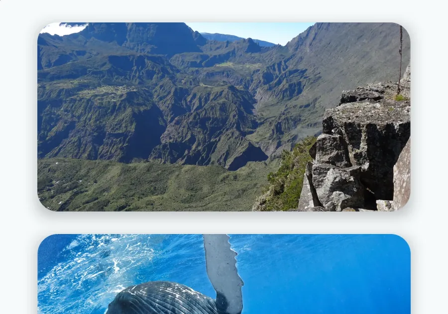 Expérience OTI Ouest VR : vignettes de deux scènes immersives, un panorama de montagnes et une baleine sous l'eau
